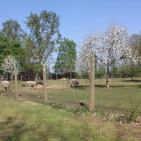 Beej Potters Bed & Breakfast Weert Exterior photo